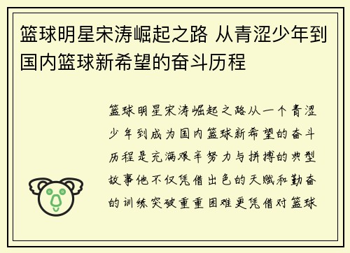 篮球明星宋涛崛起之路 从青涩少年到国内篮球新希望的奋斗历程