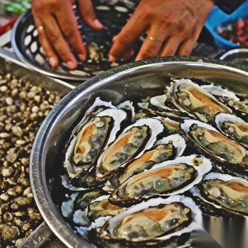How to Plan a Perfect Trip to Rongcheng? A Step-by-Step Guide–智穹界JourneyLink How to Plan a Perfect Trip to Rongcheng? A Step-by-Step Guide–智穹界JourneyLink